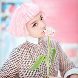 Harajuku short hair fluffy melange lolita wig  WS1182