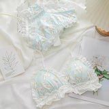 Cute underwear H078