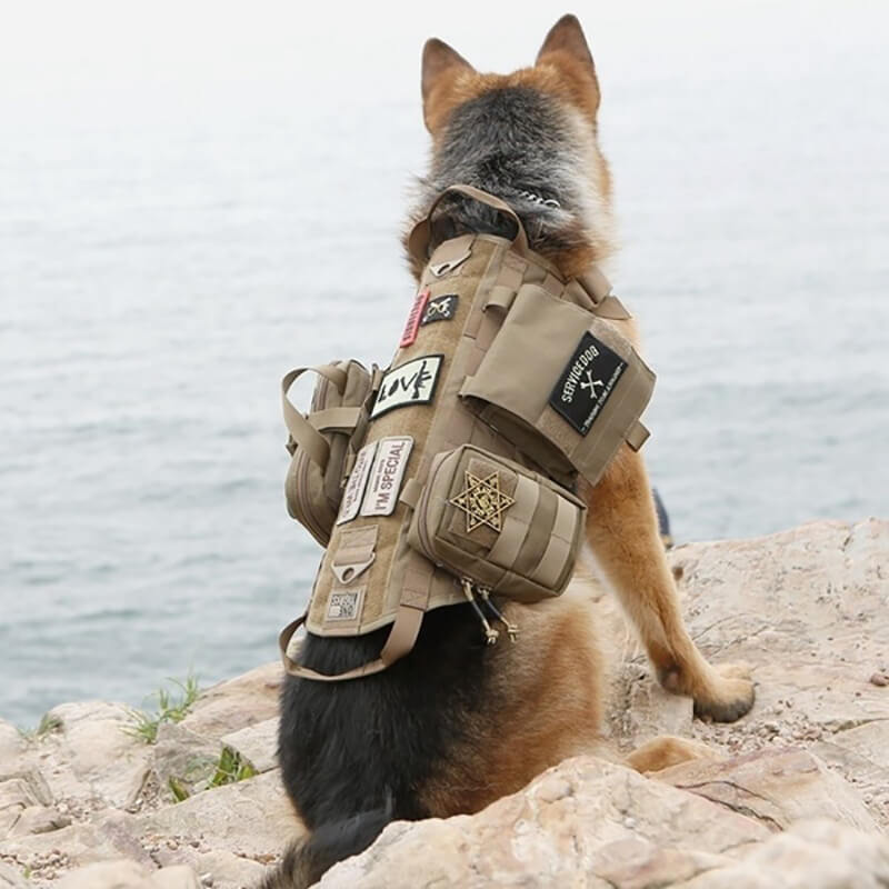 Adjustable Military K9 Tactical Dog Harness Vest with 3 Detachable Pouches Available in 3 Colors Drsowl